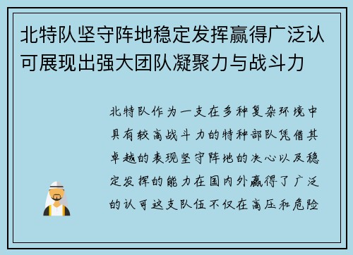 北特队坚守阵地稳定发挥赢得广泛认可展现出强大团队凝聚力与战斗力