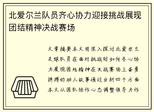 北爱尔兰队员齐心协力迎接挑战展现团结精神决战赛场