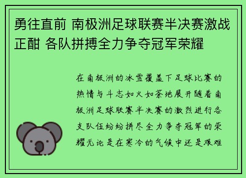 勇往直前 南极洲足球联赛半决赛激战正酣 各队拼搏全力争夺冠军荣耀